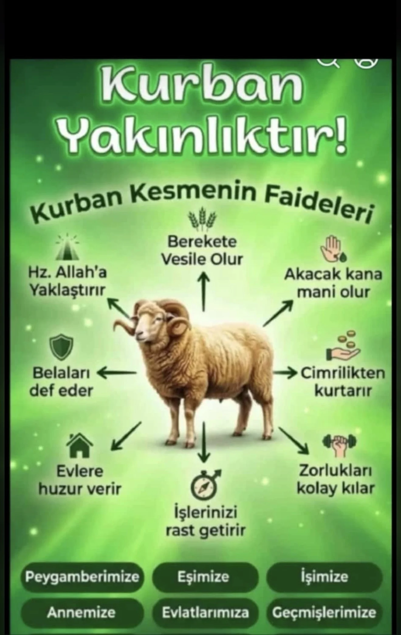 Bereket Adak Kurban